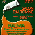 Salon d'automne<br>Du 2 au 7 novembre 2017<br>Balma (31)