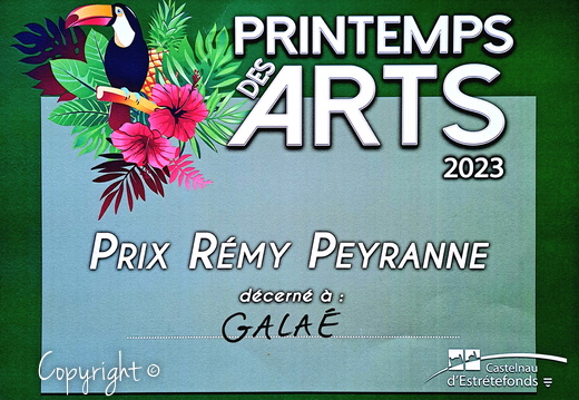 Prix Remy Peyranne, Castelnaud'Estrétefonds